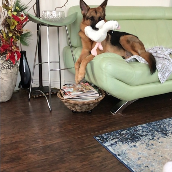 Meet your Posher, Monika - Picture 5 of 9